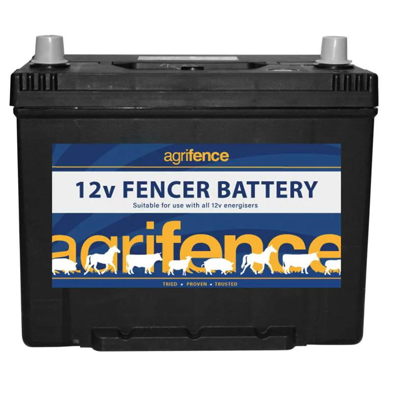 12V Rechargeable Leisure Battery