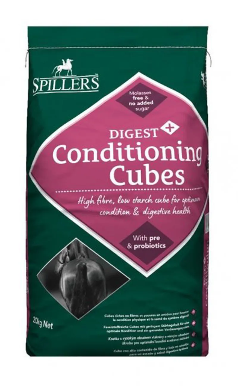 Spillers Digest Plus Conditioning Cubes