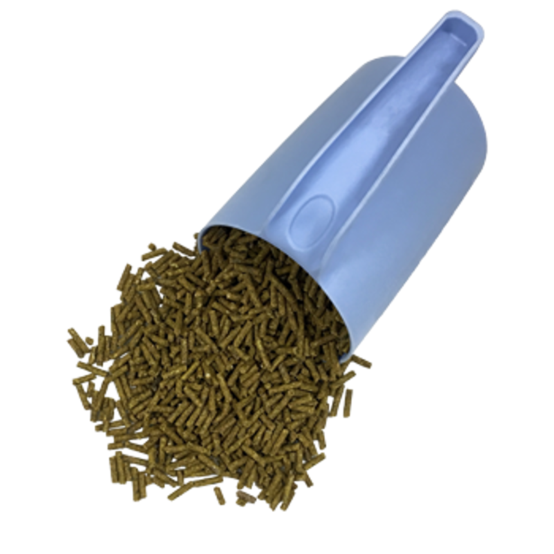 Dodson and Horrell Senior Support Balancer-1