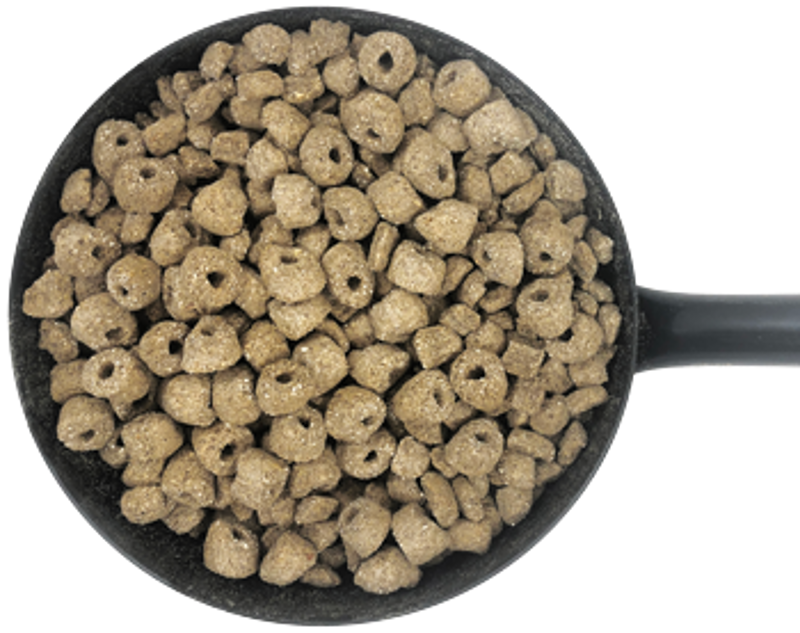 Dodson and Horrell Barley Rings-1