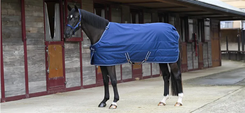 Bucas Quilt 300 Sf  Blue-02