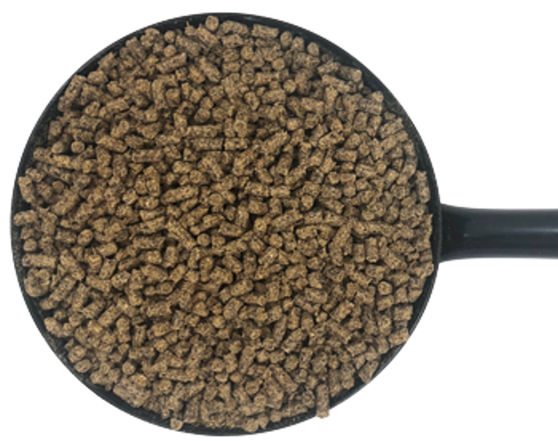 Dodson and Horrell Cushcare Condition-1