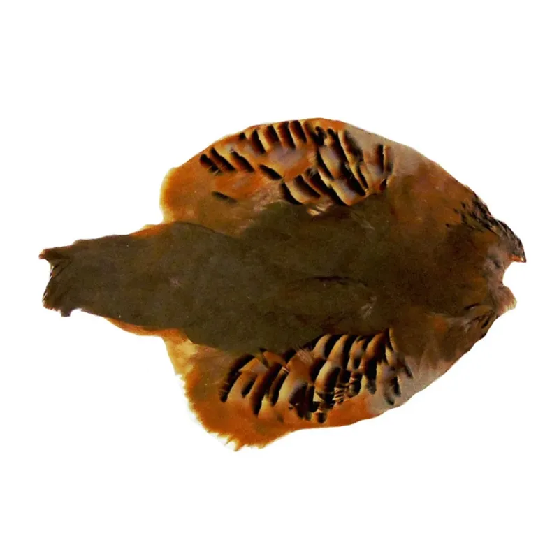 Game Bird Pelt-3