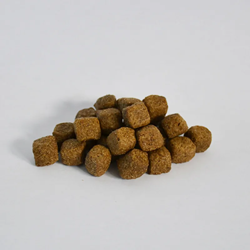 Skinners Field and Trial Adult Lamb and Rice-1