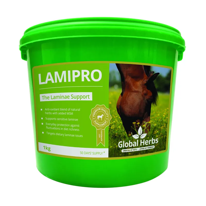 Global Herbs LamiPro Supplement in Green 1kg