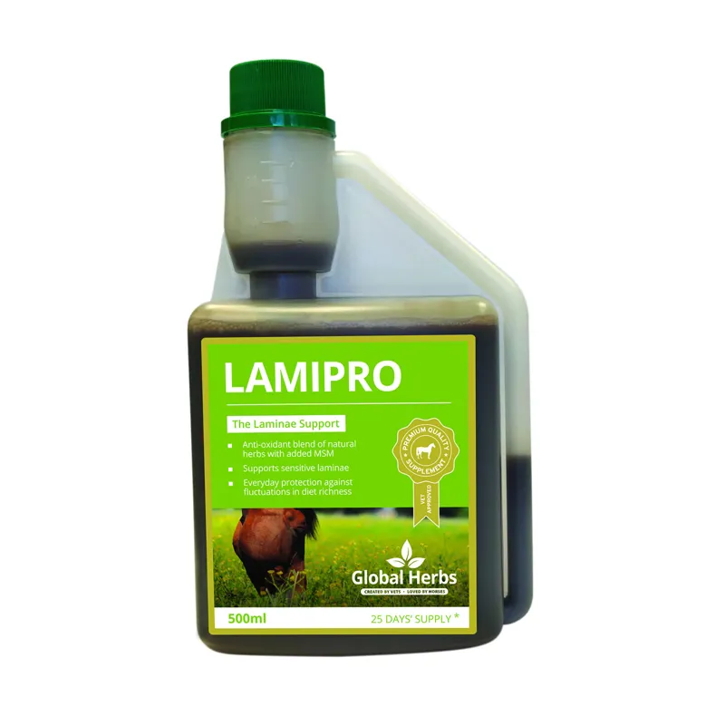 Global Herbs LamiPro Supplement 500ml