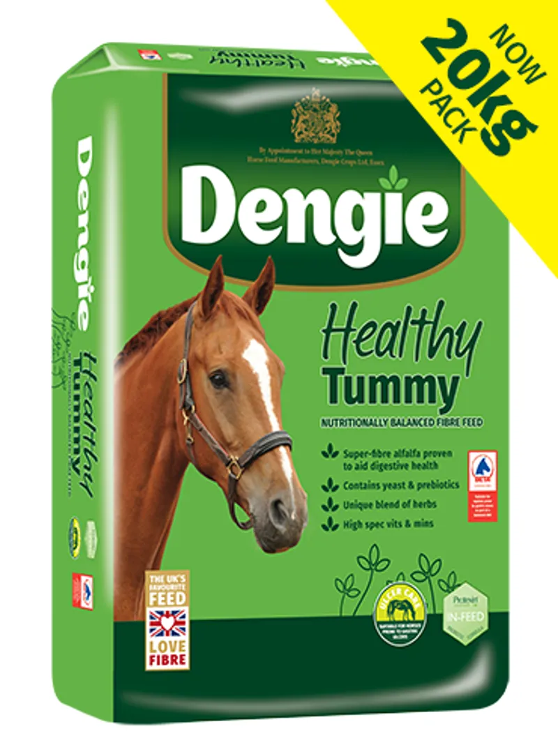 Dengie Healthy Tummy