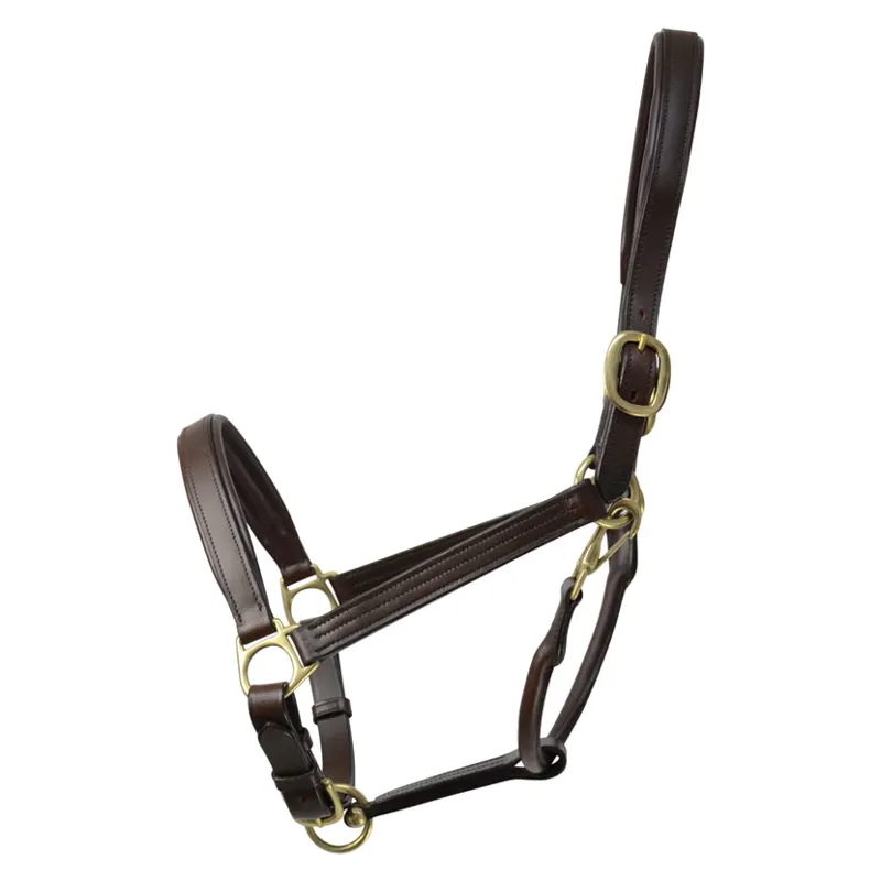 Coldstream Leather Padded Head Collar in Brown