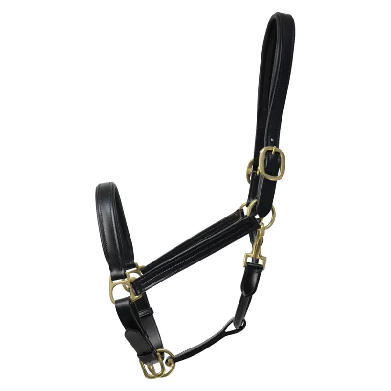 Coldstream Leather Padded Head Collar in Black