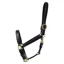 Coldstream Leather Padded Head Collar in Black