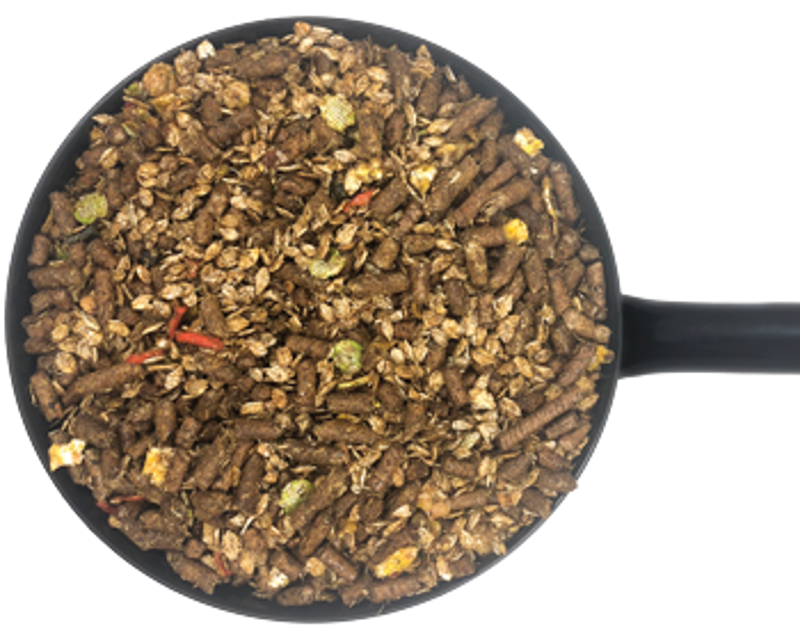 Dodson and Horrell Pasture Mix-1