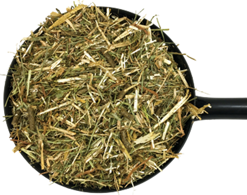 Dodson and Horrell Safe and Sound-1