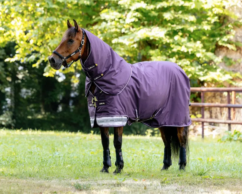 Lemieux Arika Ripstop 100g Turnout Rug Juniper