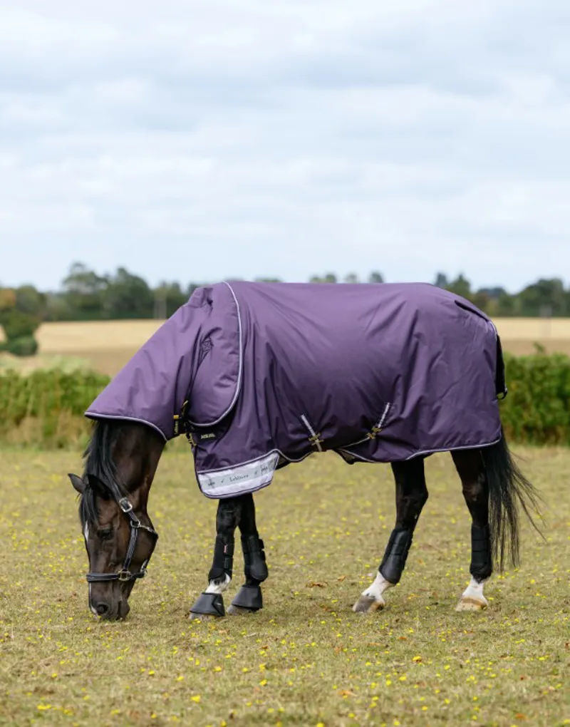 Lemieux Arika Ripstop 100g Turnout Rug Juniper-1