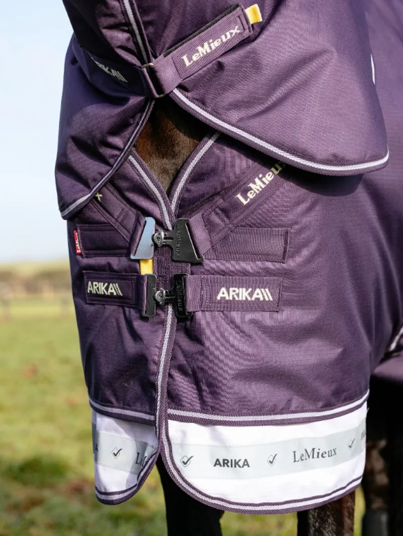 Lemieux Arika Ripstop 100g Turnout Rug Juniper-3