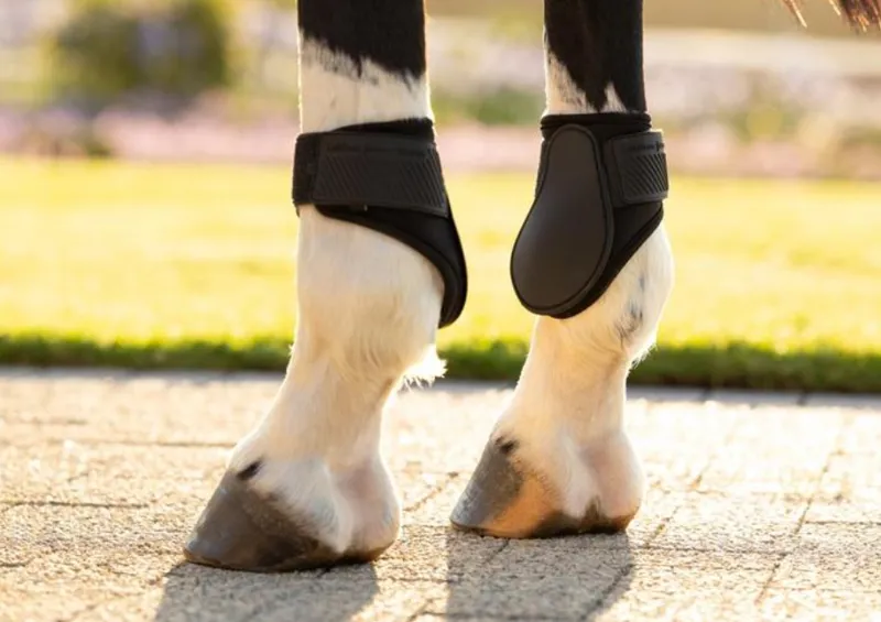 Lemieux Arika Fetlock Boot Black-2