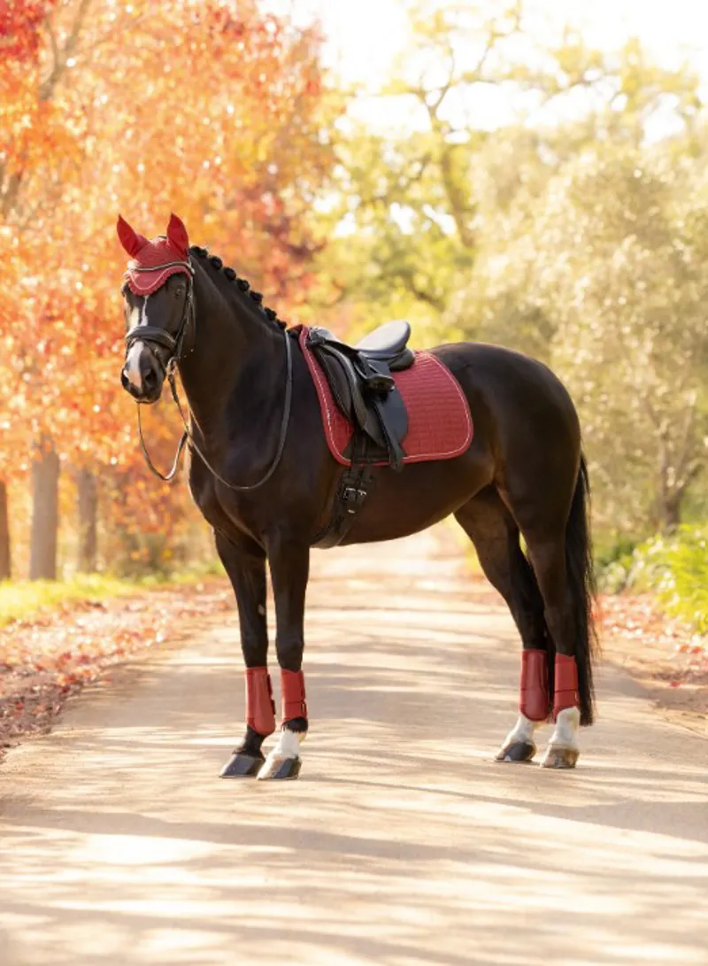 Lemieux Suede Dressage Square Russet