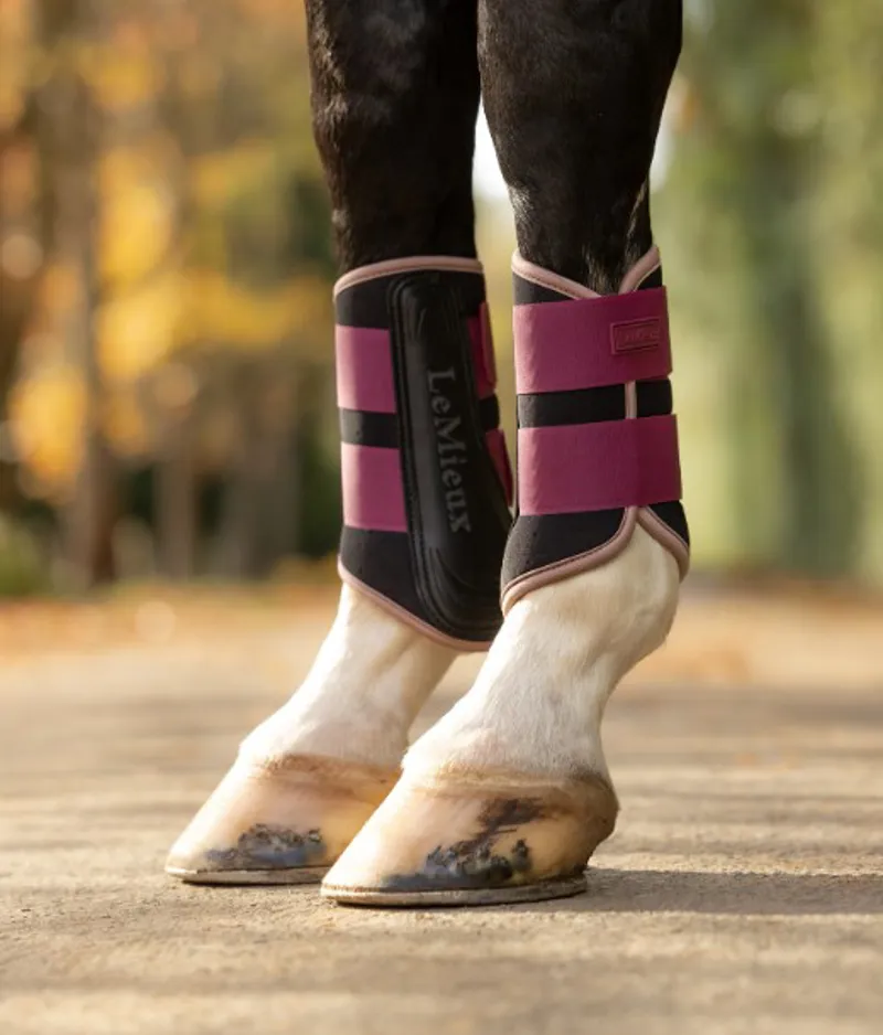 Lemieux Air-Tek Grafter Brushing Boots Blackberry