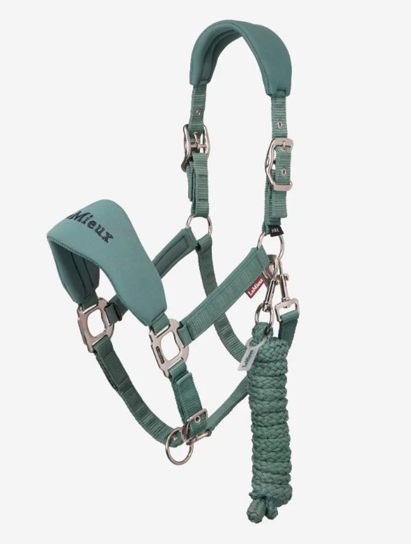 Lemieux Breakaway Vogue Headcollar and Leadrope Aloe