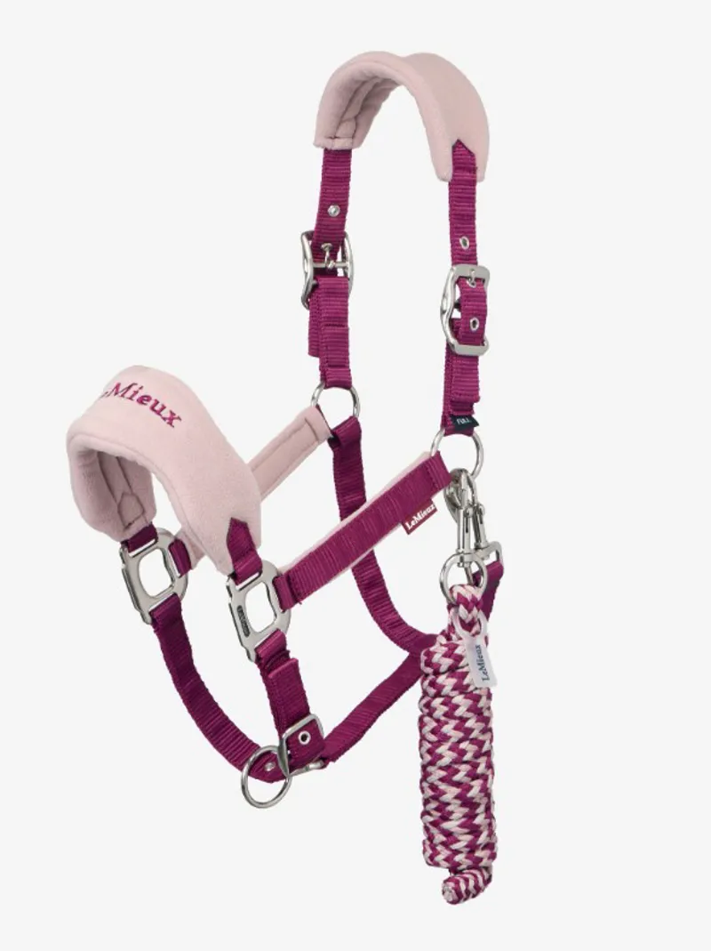 Lemieux Vogue Headcollar and Leadrope Blackberry