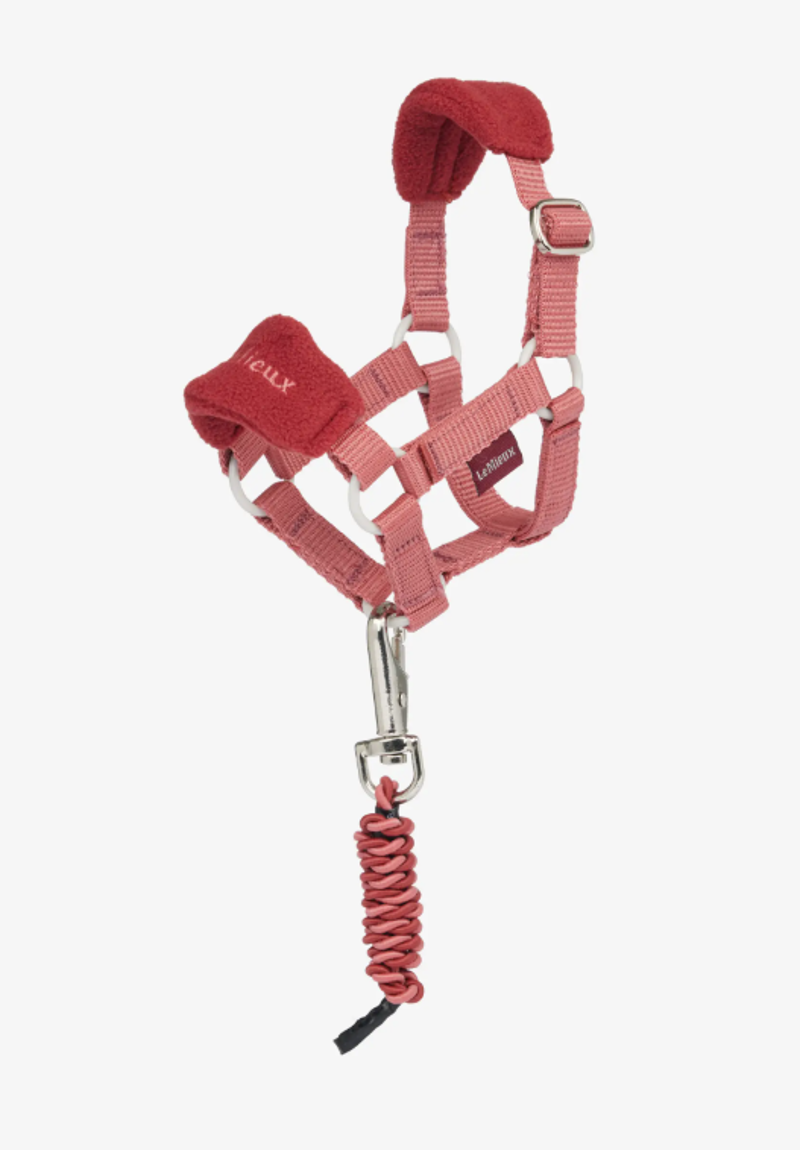 Lemieux Toy Pony Vogue Headcollar and Leadrope Spiced Earth