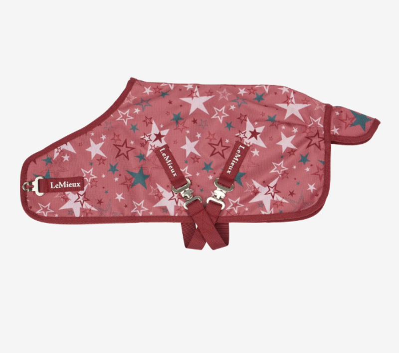 Lemieux Toy Pony Printed Turnout Rug Spiced Earth