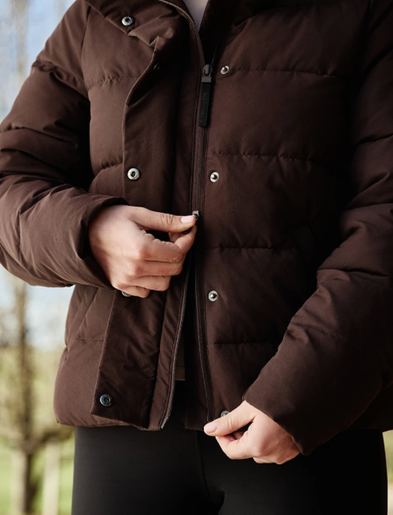 Weatherbeeta Insulated High Neck Jacket Expresso-2