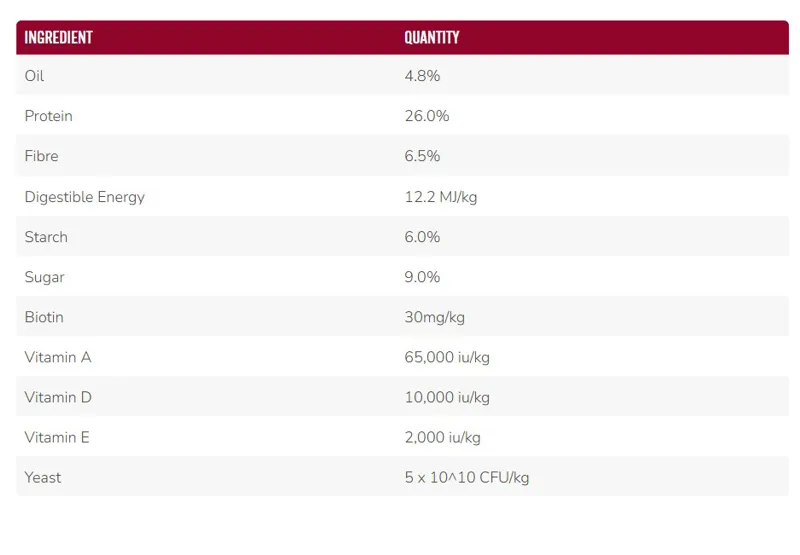 Saracen Essential Balancer-1