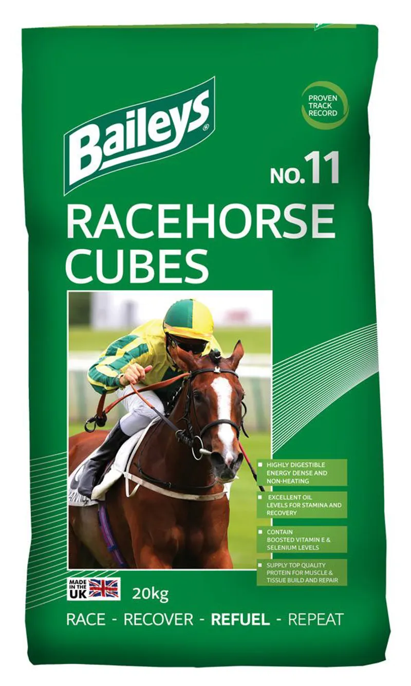 Baileys Racehorse Cubes No11
