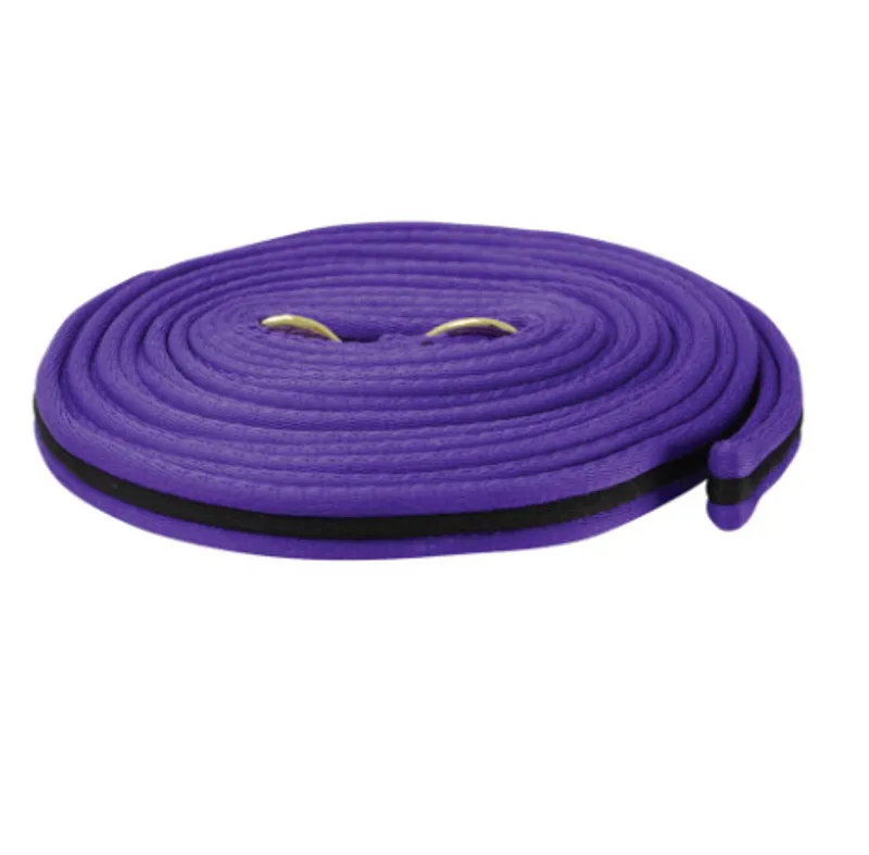 Hy Soft Webbing Lunge Rein in Purple/Black