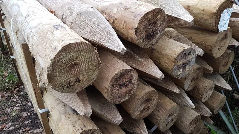 Timber Rough Sawn Stakes Uc4 2.40M 8'