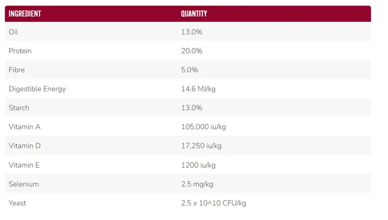 Saracen Competition Fit Balancer-1