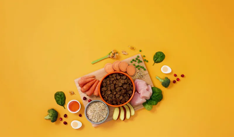 Symply Adult Dog Chicken Large Breed-1