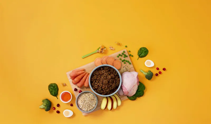 Symply Adult Dog Light/Senior-1