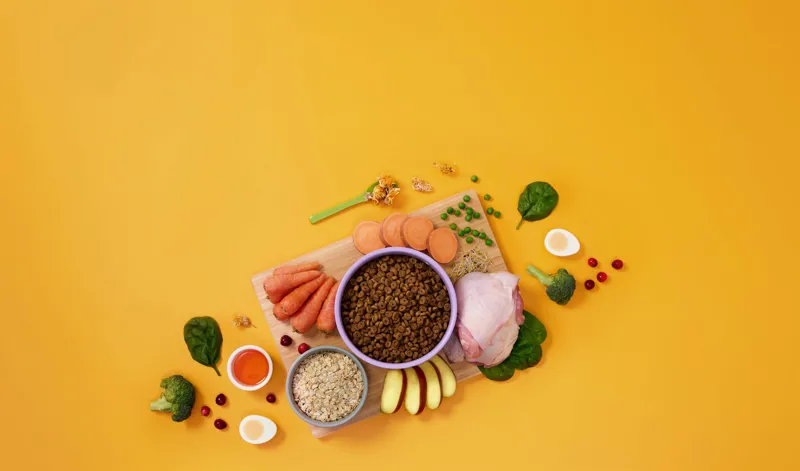 Symply Adult Dog Turkey Small Breed-1