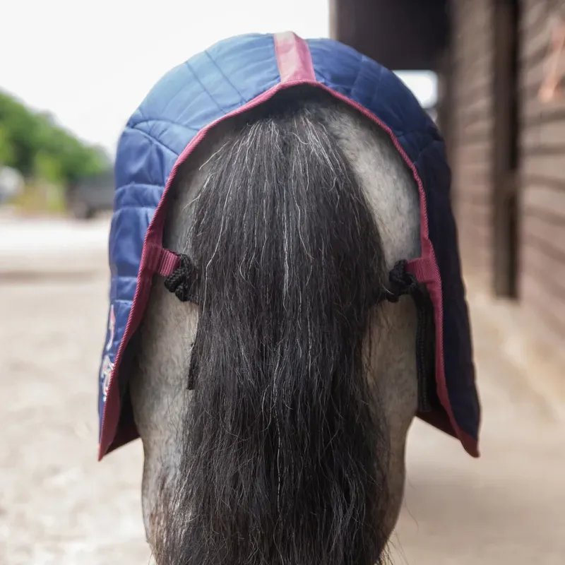 Gallop Ponie 50g Stable Rug in Navy-2