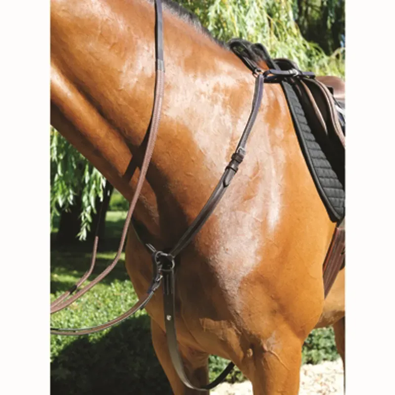 Mark Todd Cob Padded Breastplate In Brown