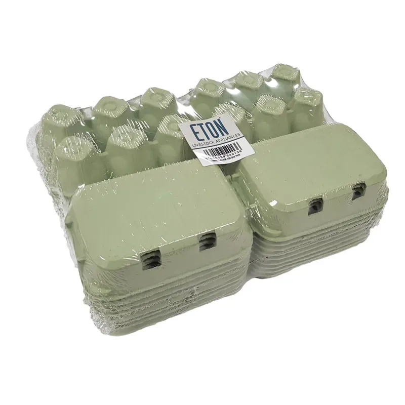 Eton 20 Pack Egg Box Plain Flat Top in Green