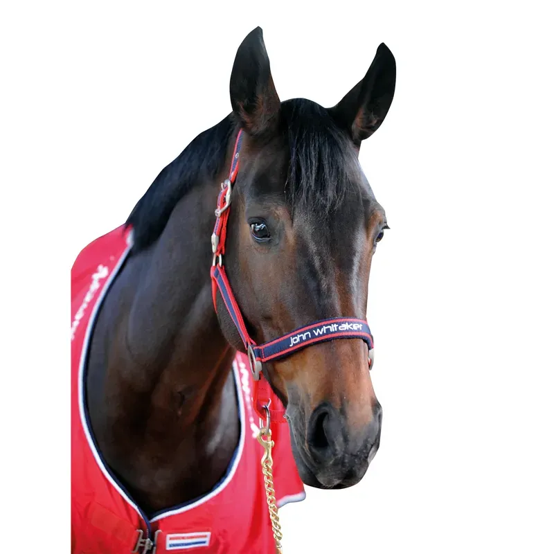Whitaker Padded Fleece Headcollar - Red/NAVY