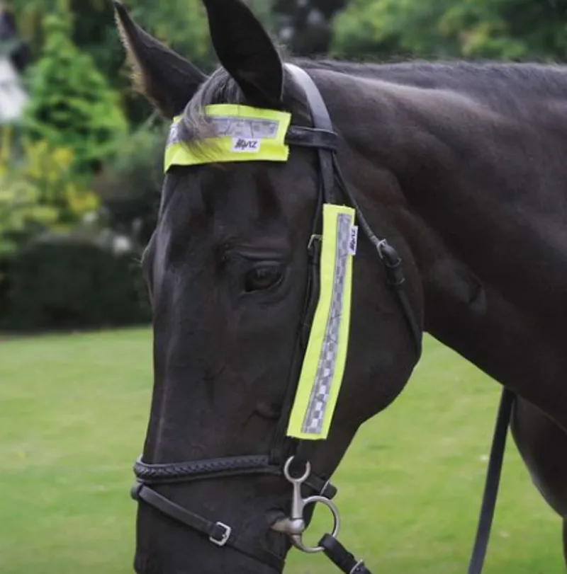 Hy Viz 3-piece Bridle Set in Yellow